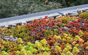 the cost of Slade End green roof installation