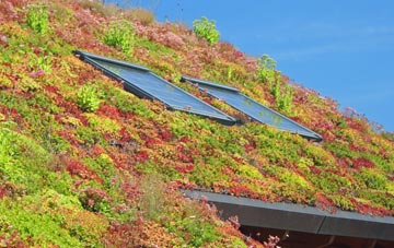Slade End living roof systems